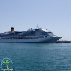 Hafenrundfahrt Palma